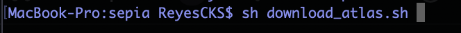 ../_images/download_atlas_cmd.png