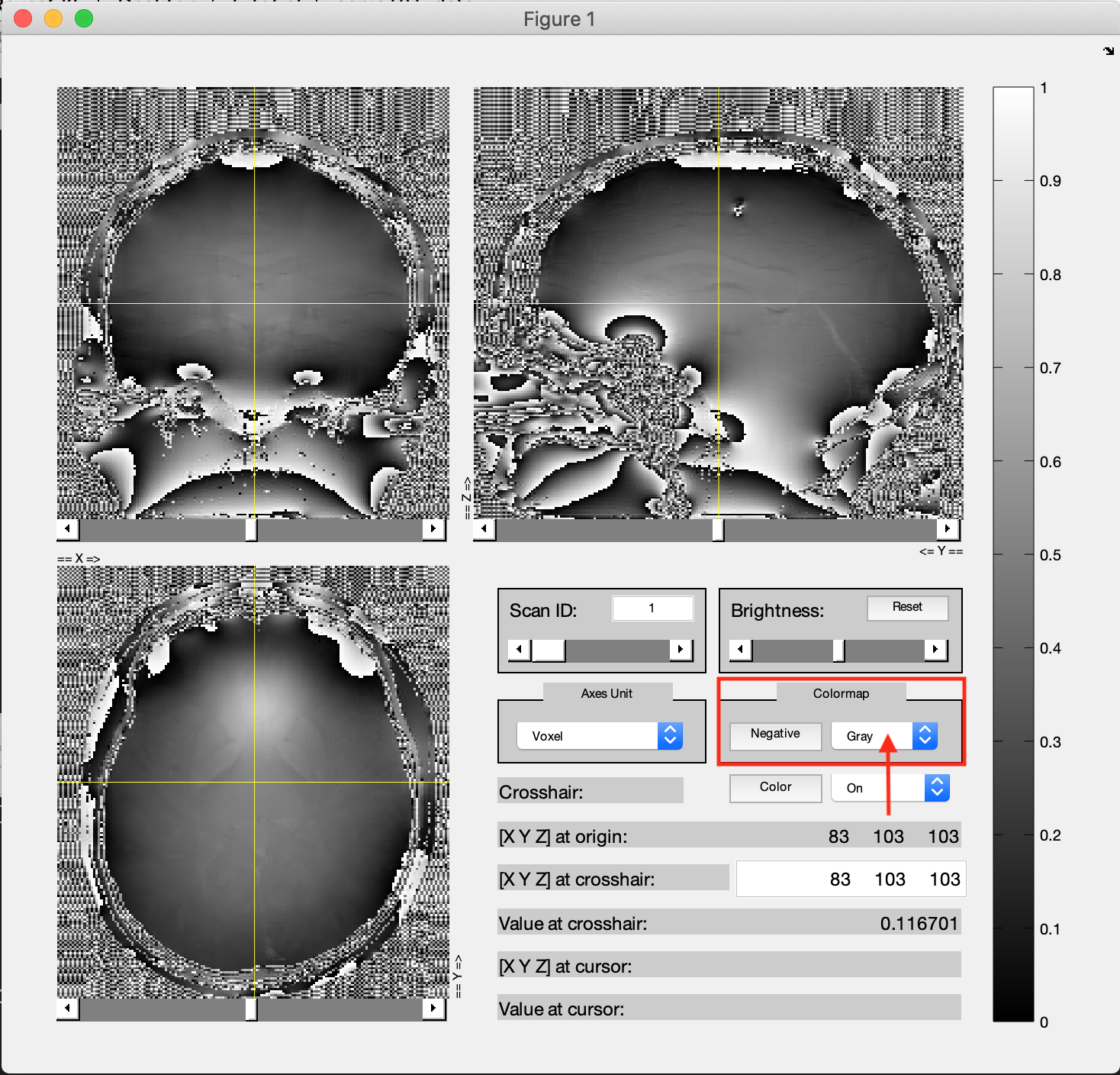../../_images/exercise1_viewnii_phase.png