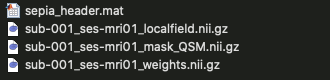 ../_images/qsm-directory-input.png